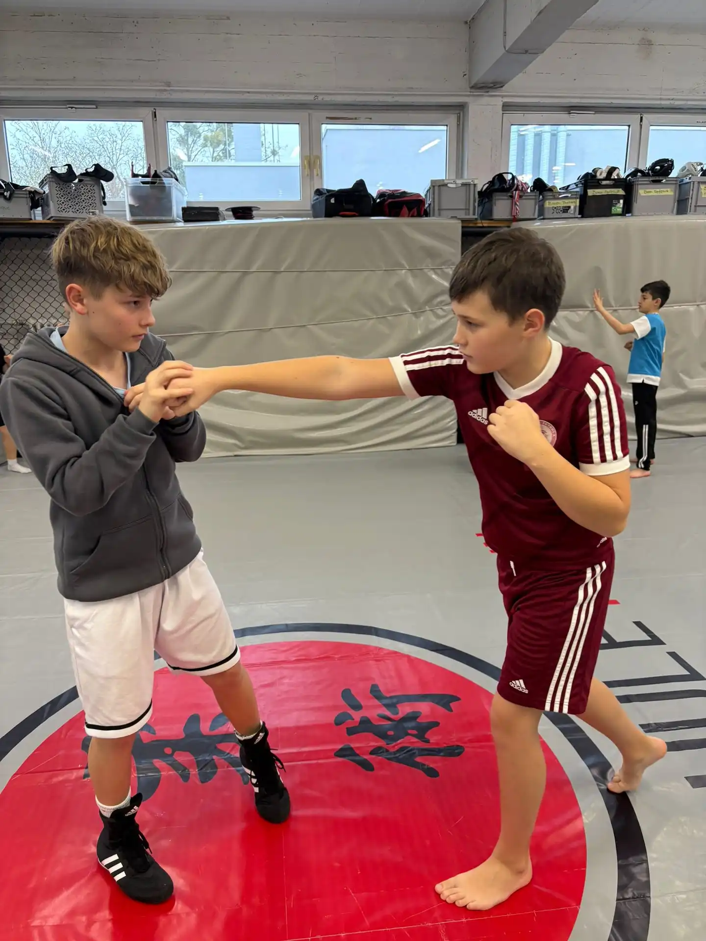Kickboxen Kids - Galeriebild 4 von 9: Training und Techniken
