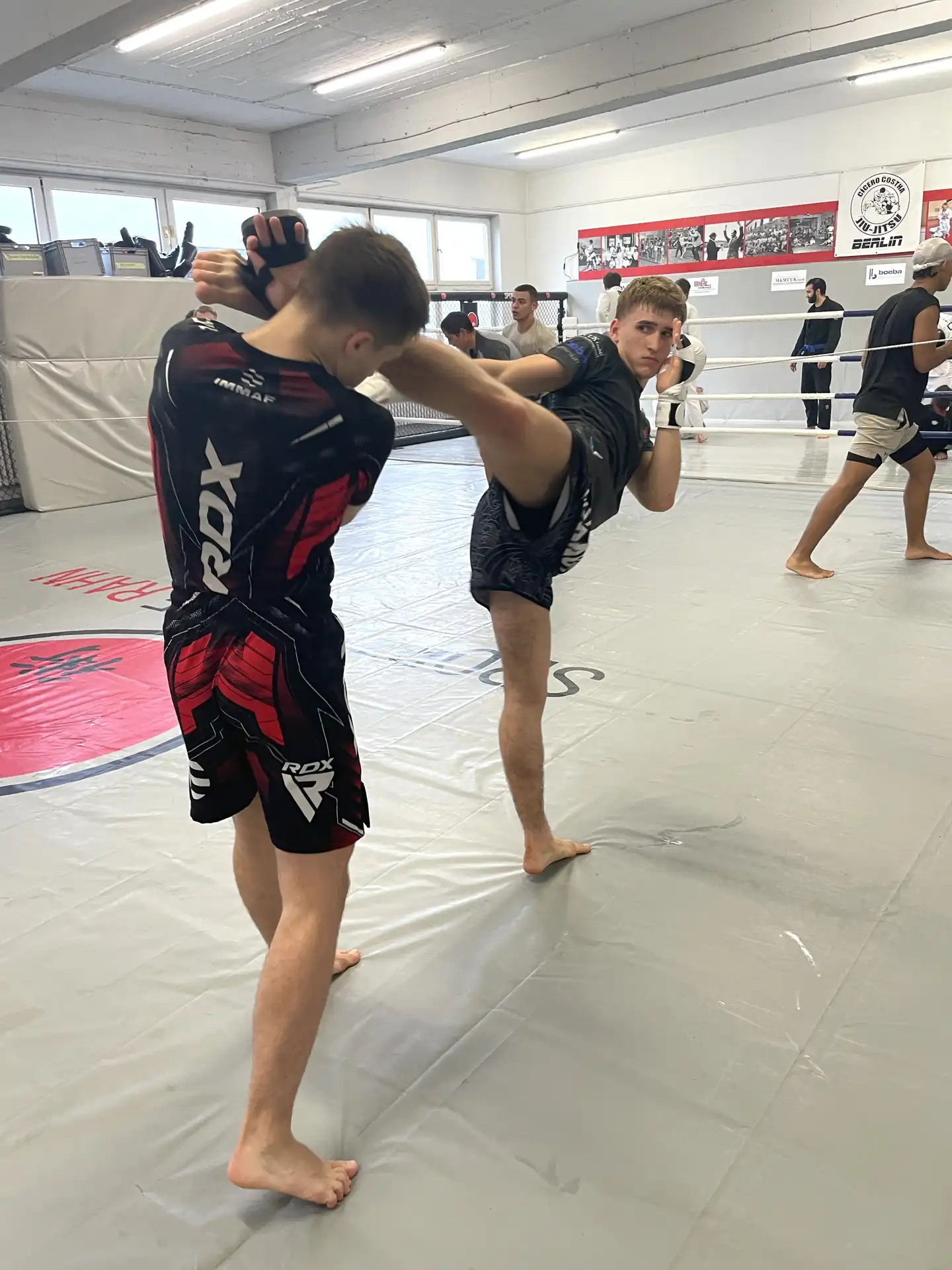 Mixed Martial Arts (MMA) - Galeriebild 8 von 12: Training und Techniken